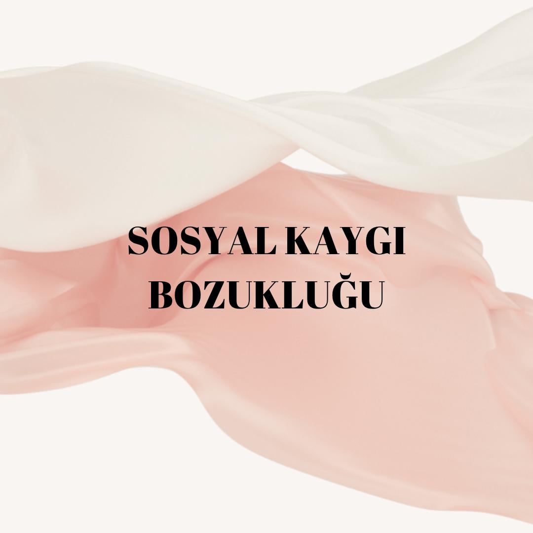 Van Sosyal Kaygı Bozukluğu