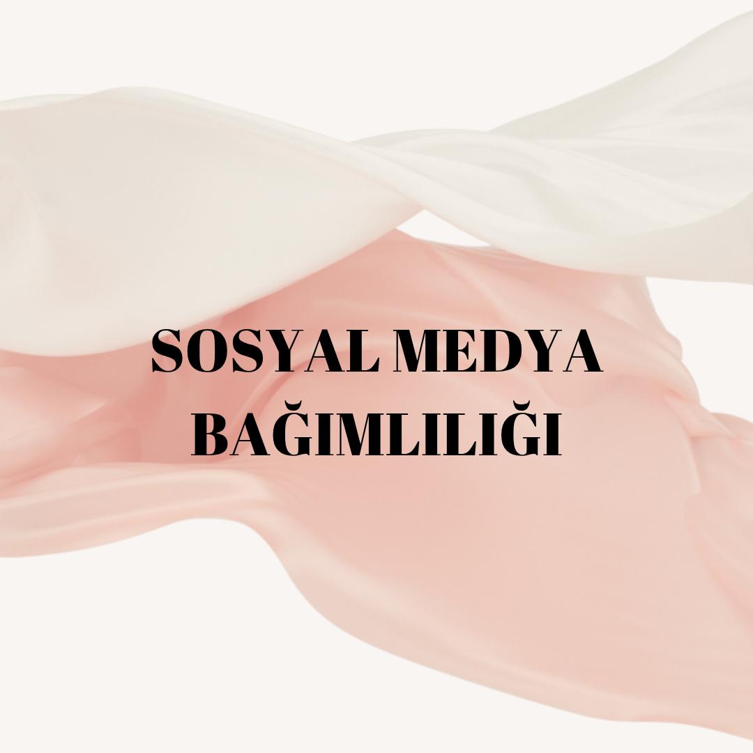 Van Sosyal Medya Bağımlılığı
