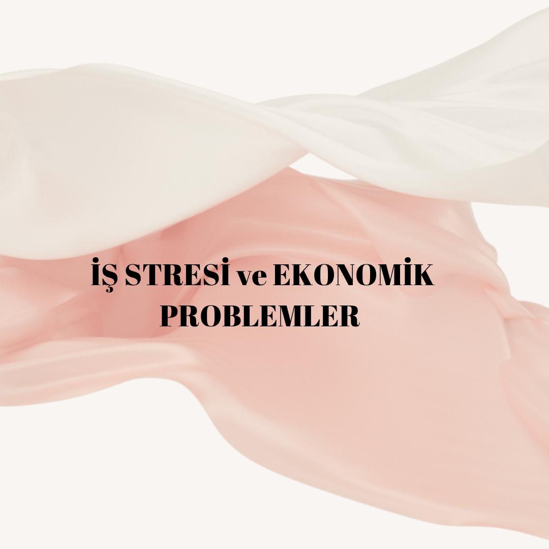 Van İş Stresi ve Ekonomik Problemler