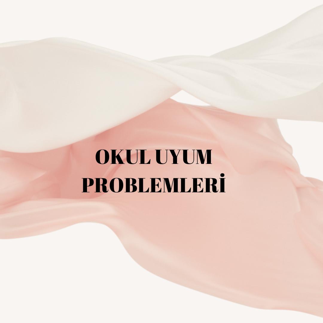 Van Okul Uyum Problemleri