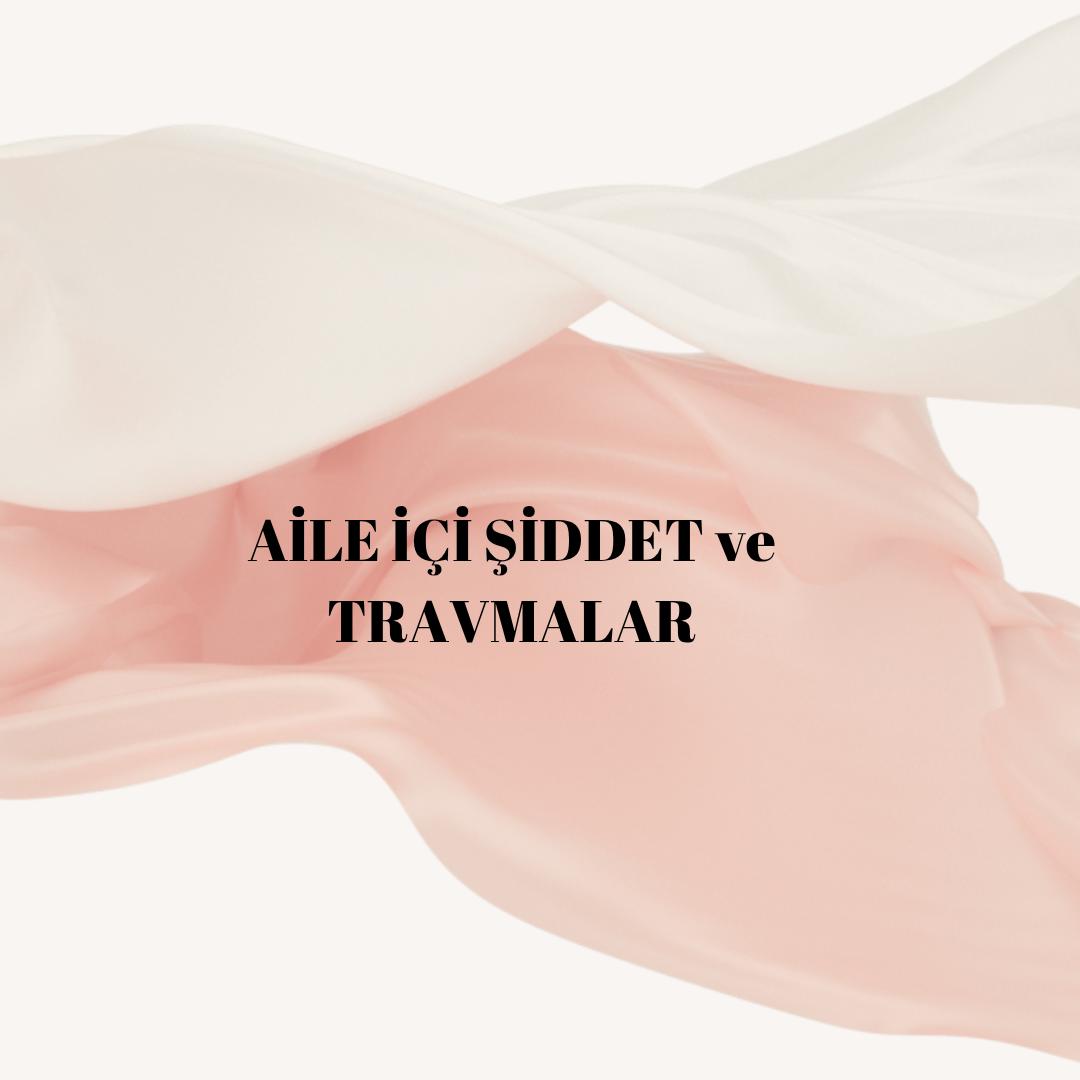 Van Aile içi şiddet ve Travmalar
