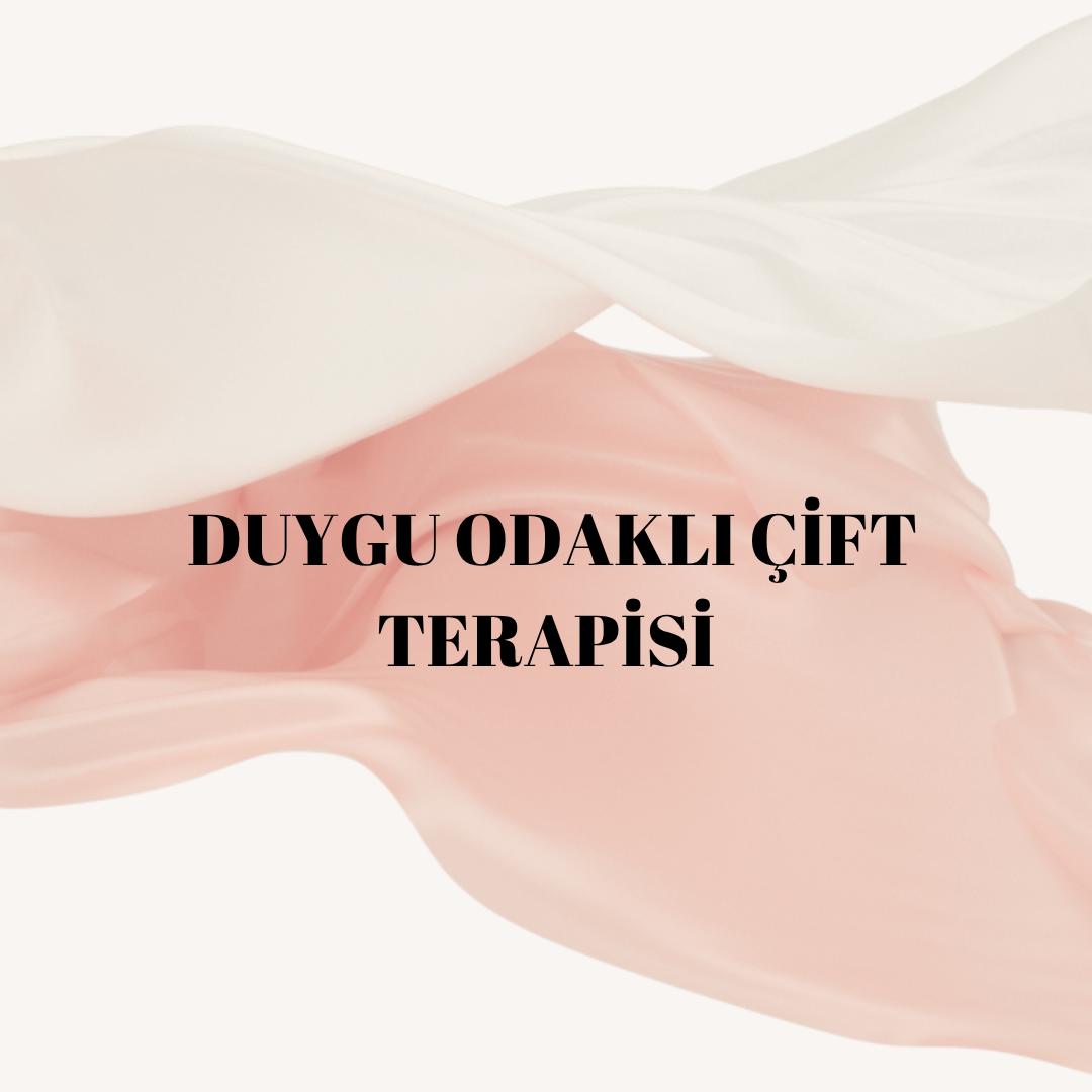 VAN DUYGU ODAKLI ÇİFT TERAPİSİ