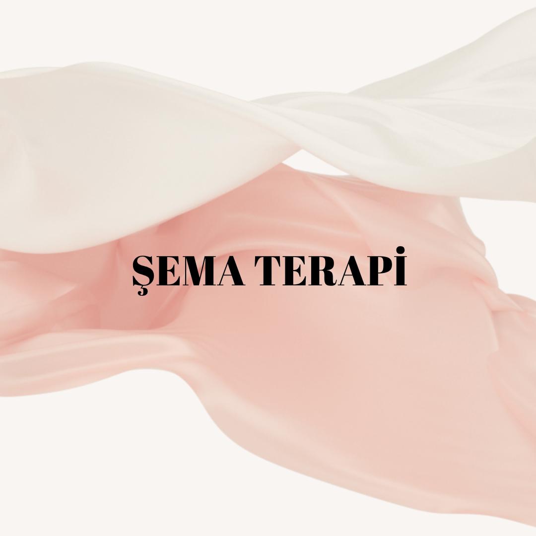 VAN ŞEMA TERAPİSİ